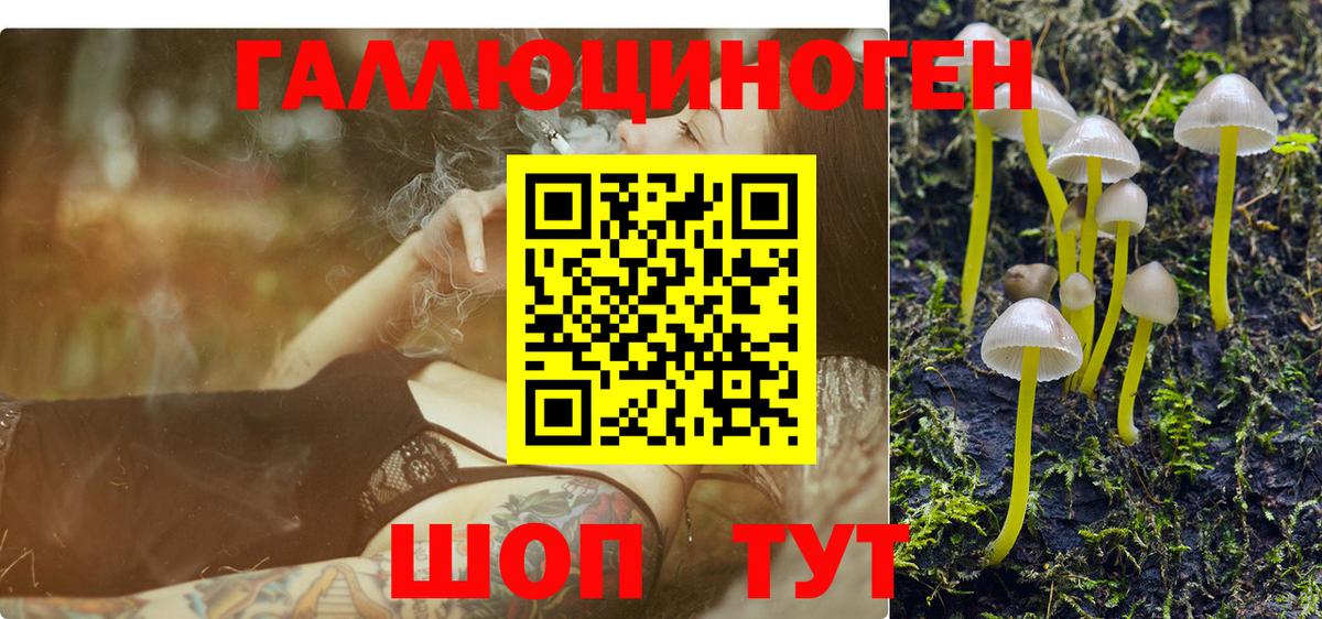 Псилоцибиновые грибы Magic Shrooms Ирбит